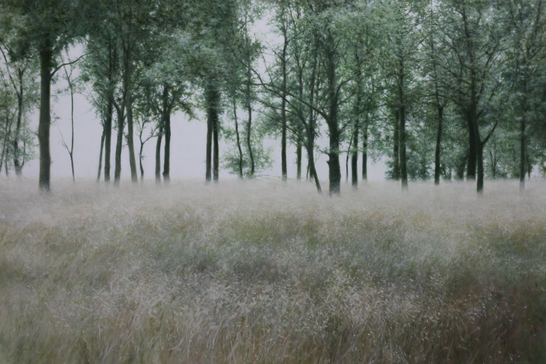 Trees, oil on canvas, 150 x 100 cm (sold)